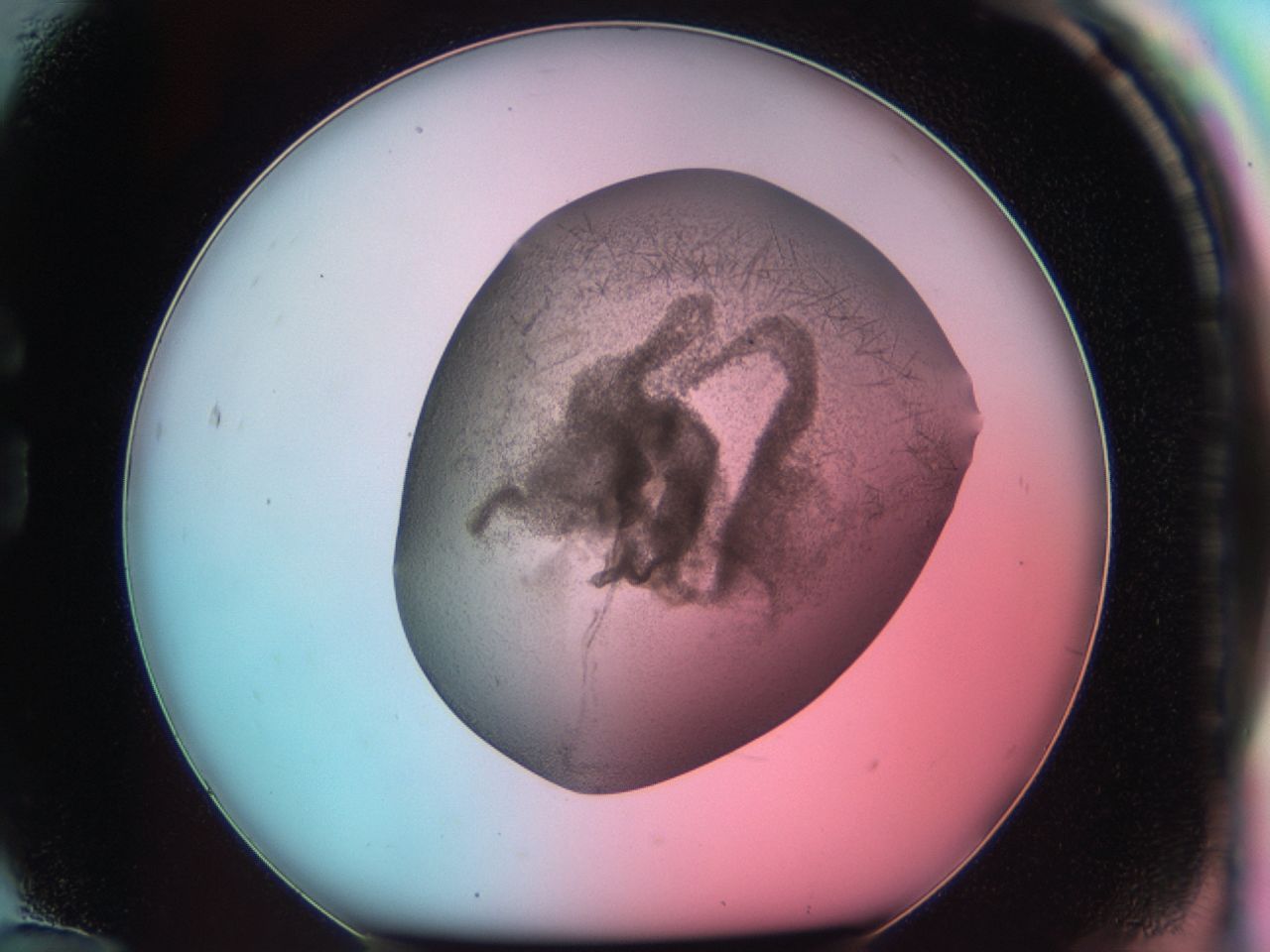 03cf_G12_ImagerDefaults_6.jpg