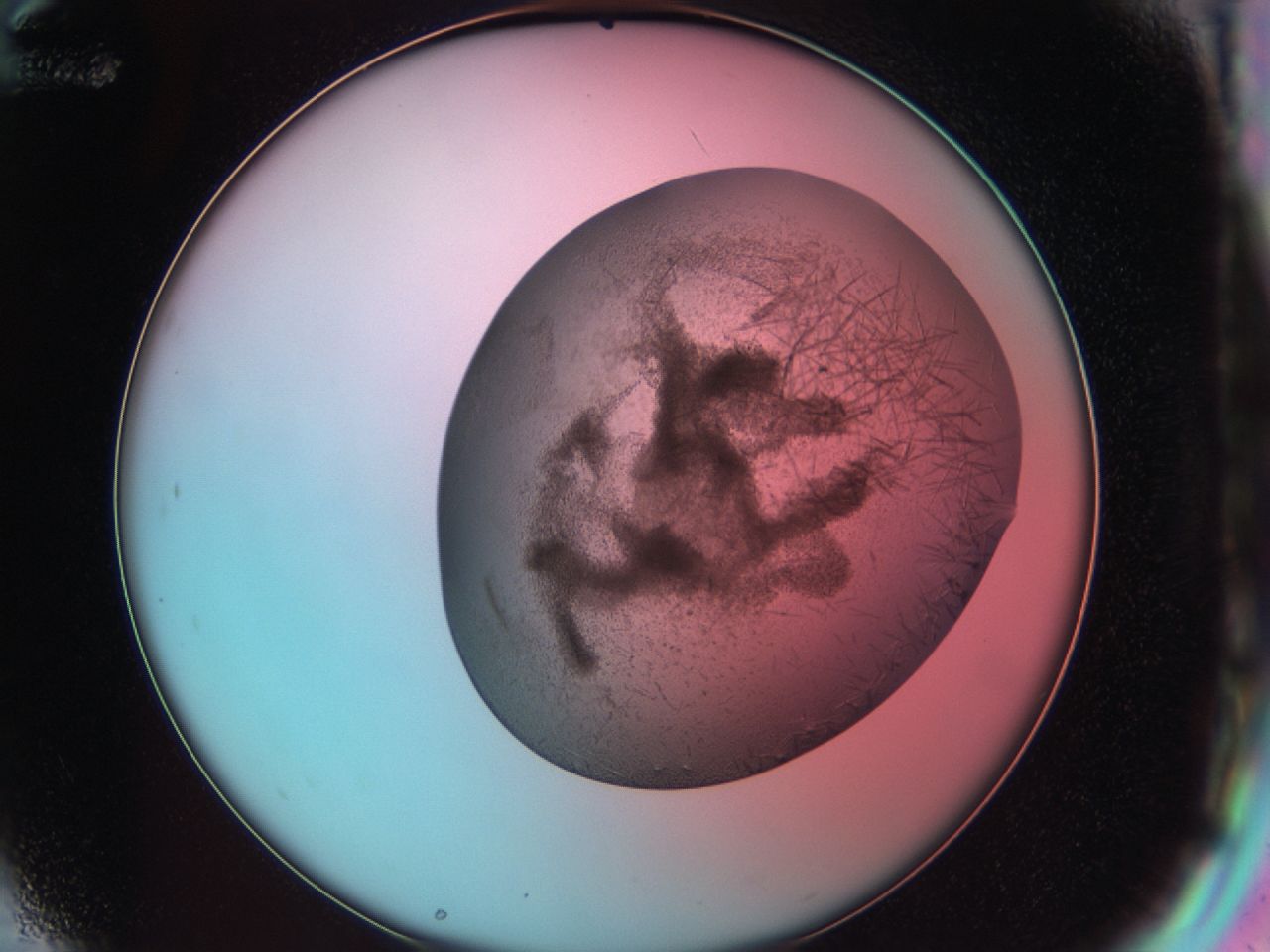 03cf_G12_ImagerDefaults_7.jpg