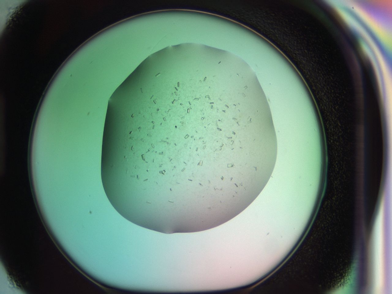 03cf_H3_ImagerDefaults_7.jpg