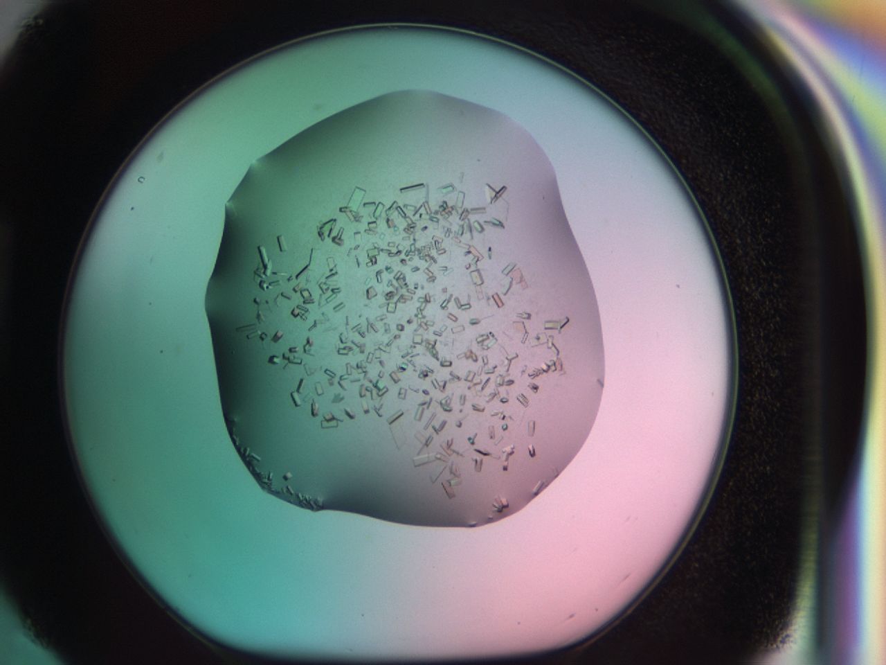 03cf_H4_ImagerDefaults_7.jpg