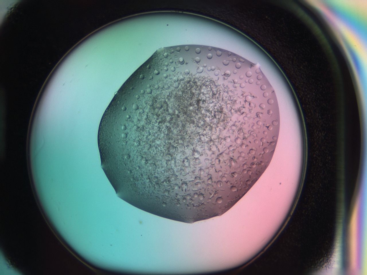 03cf_H6_ImagerDefaults_6.jpg