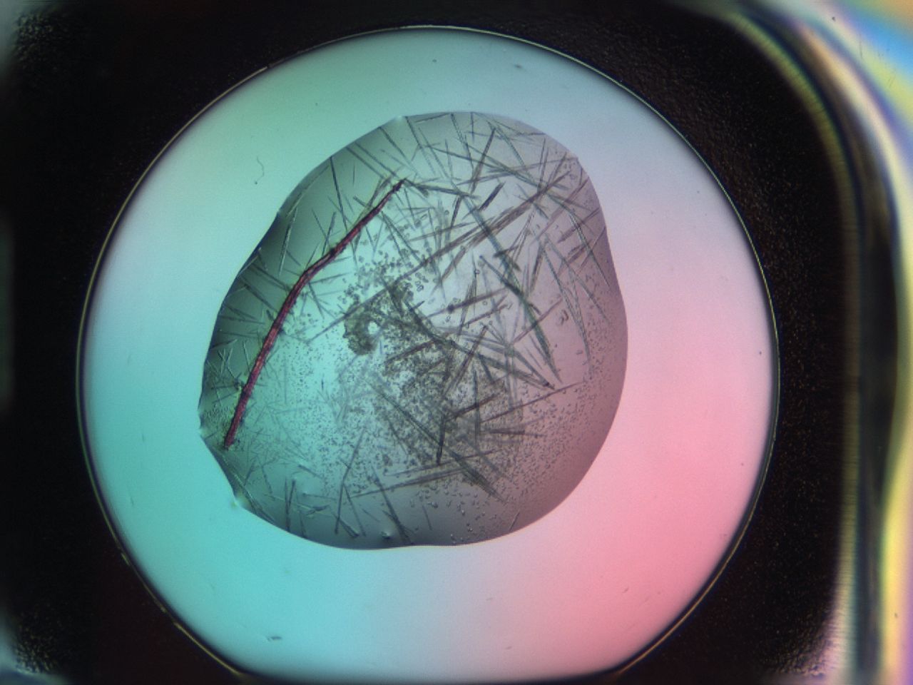 03cf_H10_ImagerDefaults_7.jpg