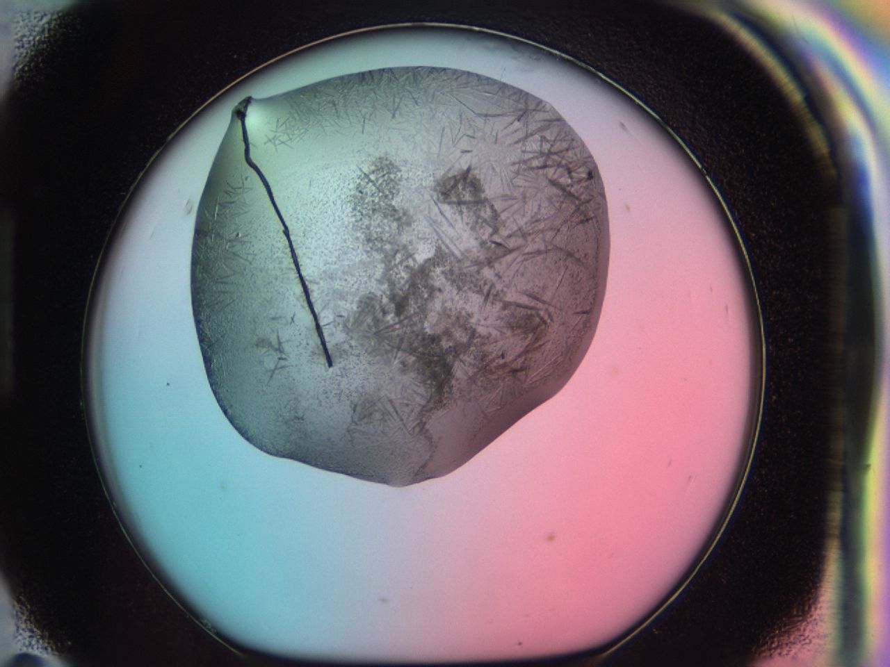03cf_H11_ImagerDefaults_7.jpg