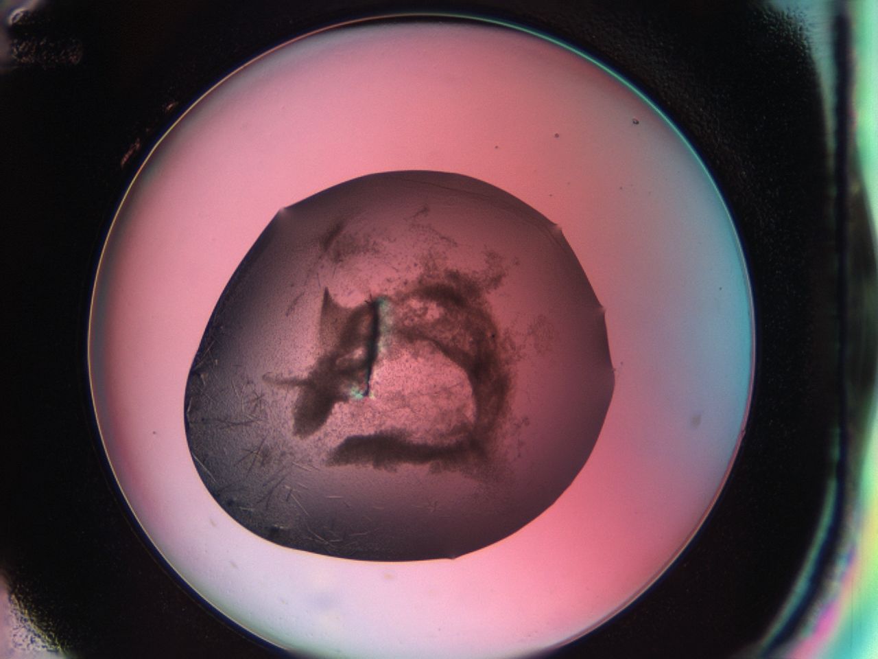 03cf_H12_ImagerDefaults_6.jpg