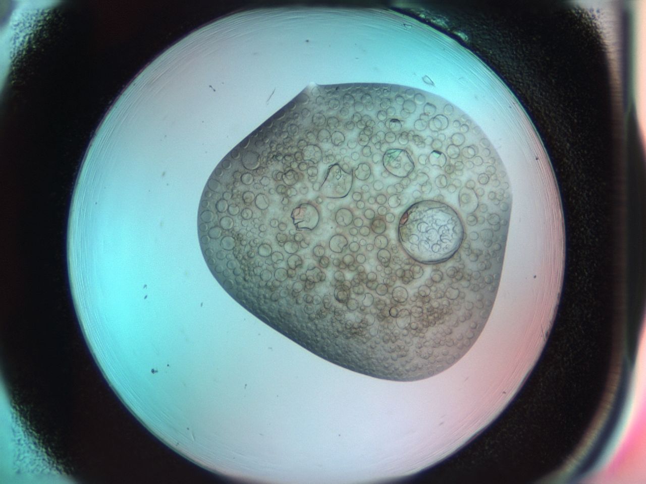 03cg_B6_ImagerDefaults_6.jpg