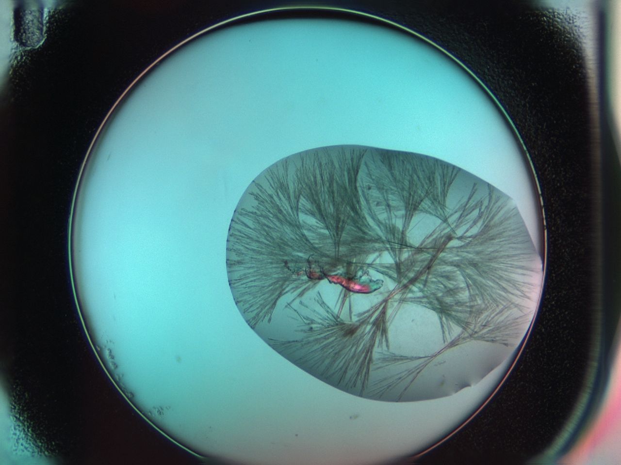 03cg_B11_ImagerDefaults_7.jpg