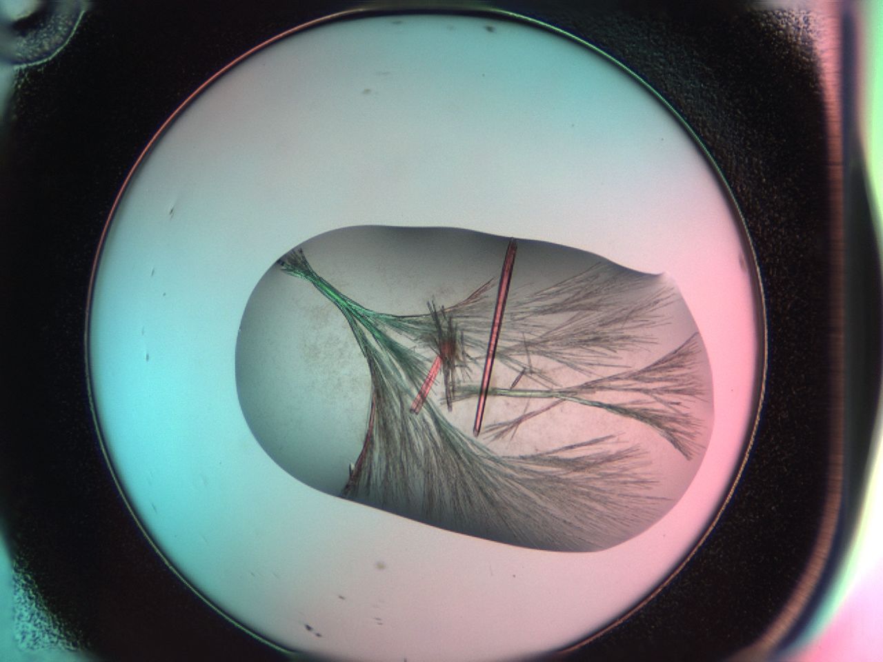 03cg_D10_ImagerDefaults_7.jpg