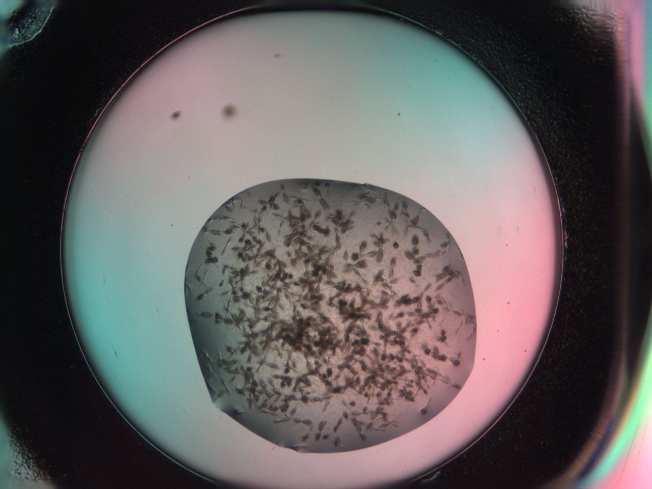 03cg_E10_ImagerDefaults_6.jpg