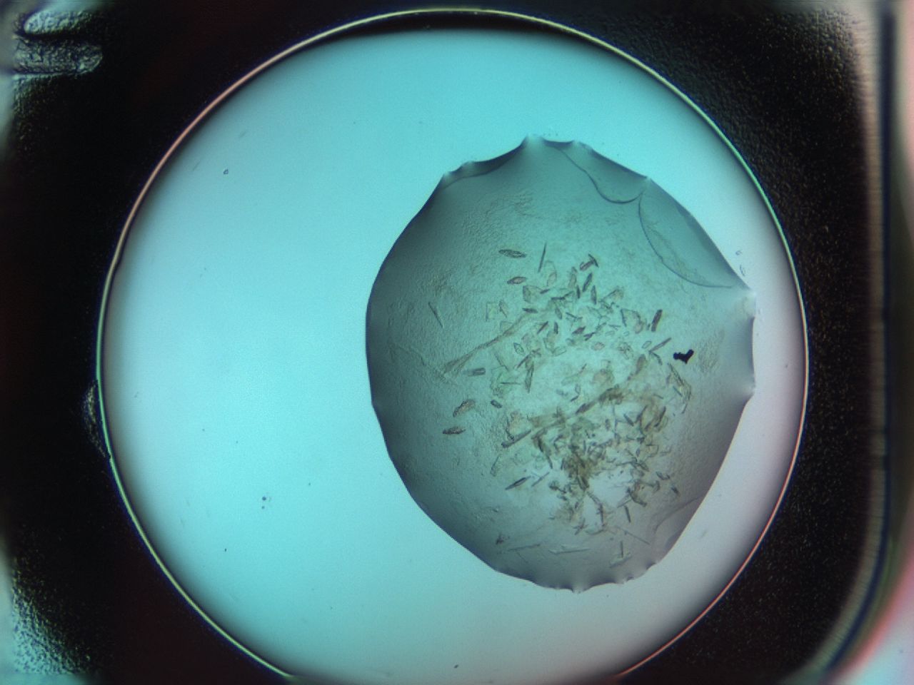 03cg_B12_ImagerDefaults_7.jpg