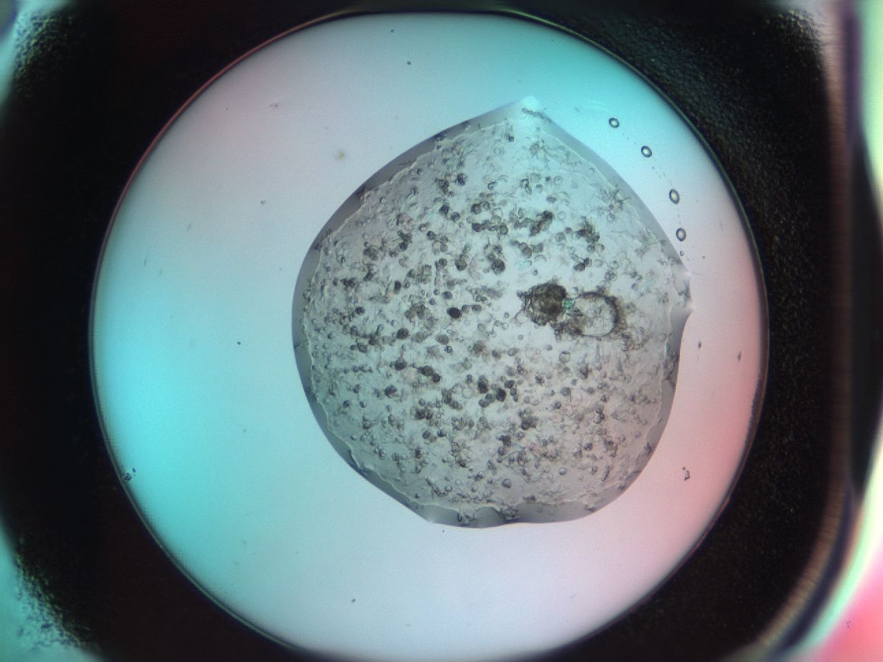 03cg_C6_ImagerDefaults_6.jpg