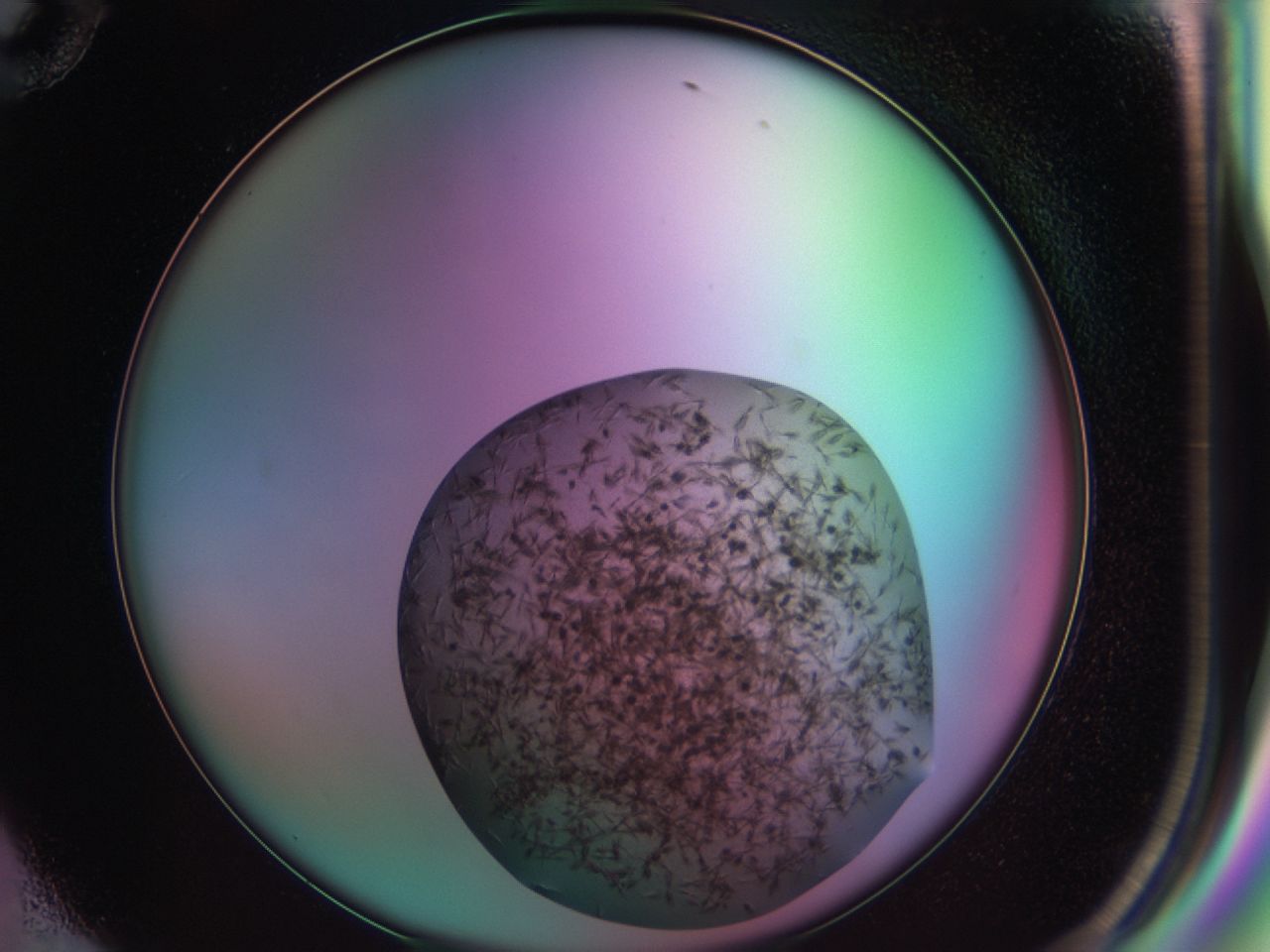 03cg_F10_ImagerDefaults_6.jpg