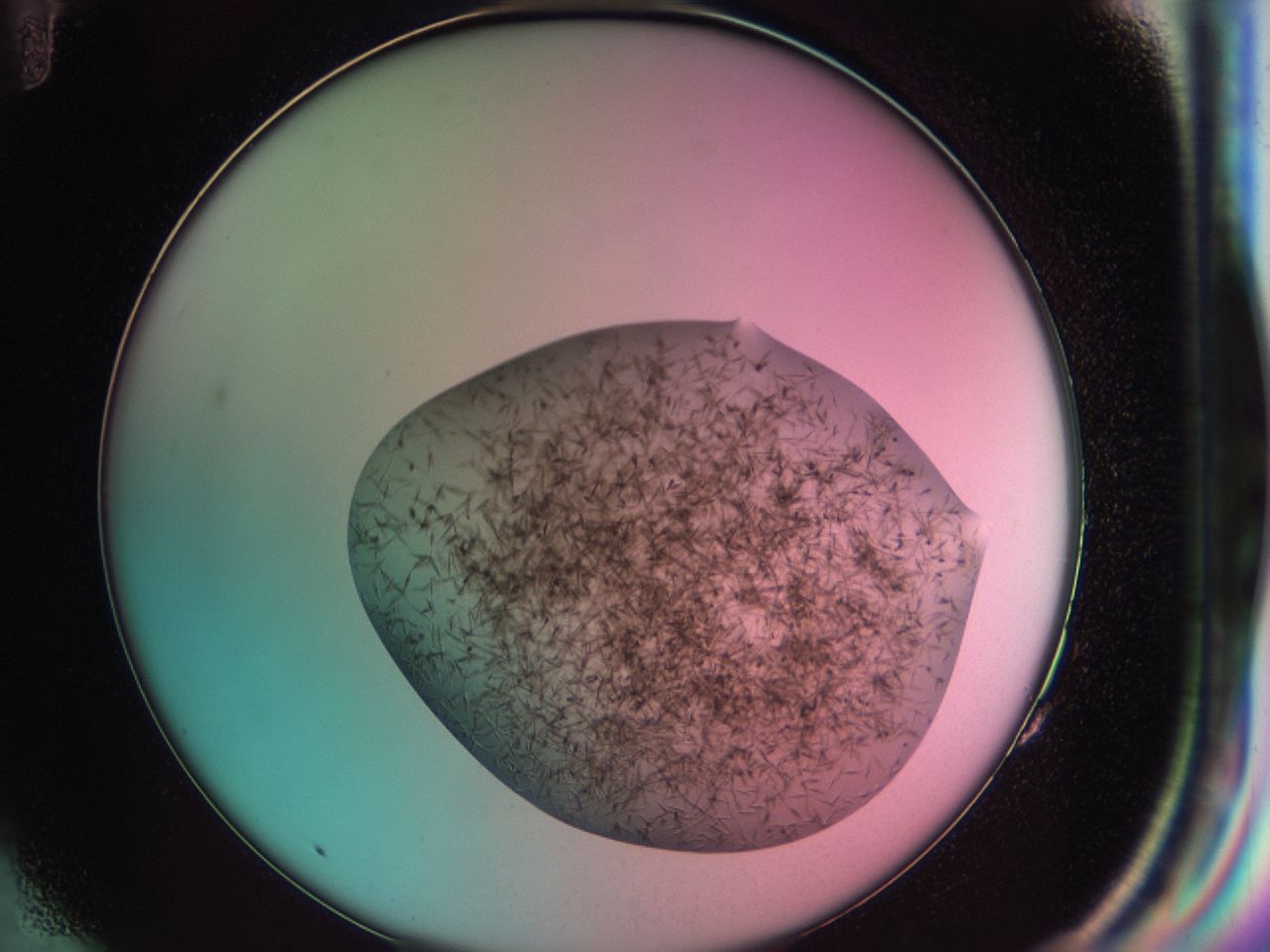 03cg_G11_ImagerDefaults_6.jpg