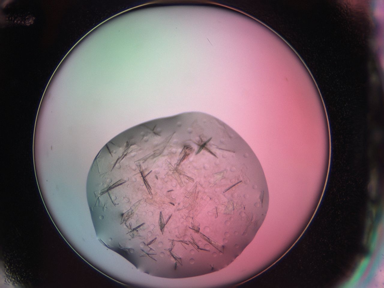 03cg_G12_ImagerDefaults_7.jpg