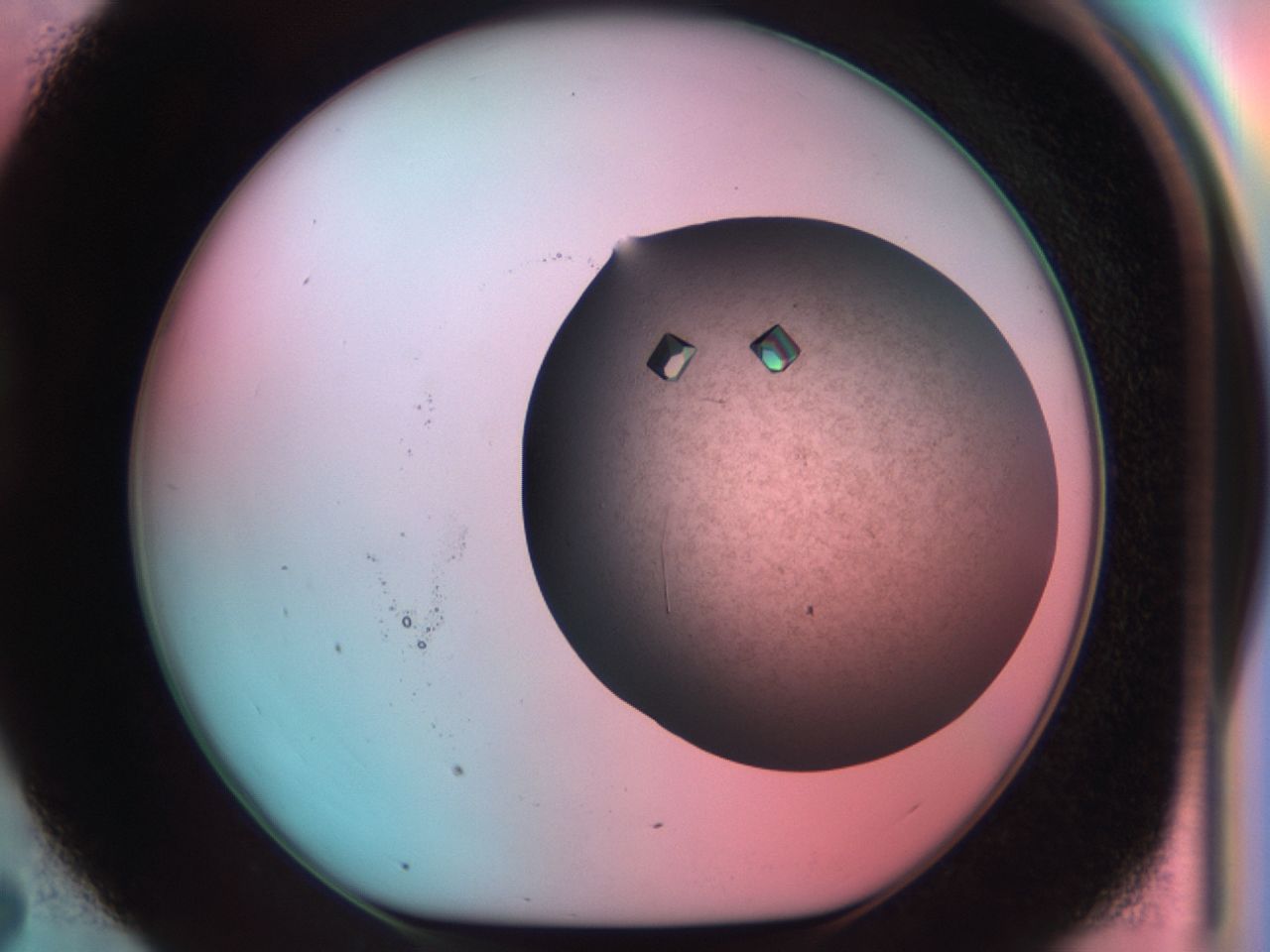 03ch_D7_ImagerDefaults_9.jpg