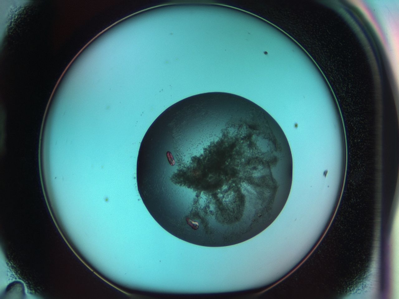 03ch_D11_ImagerDefaults_7.jpg