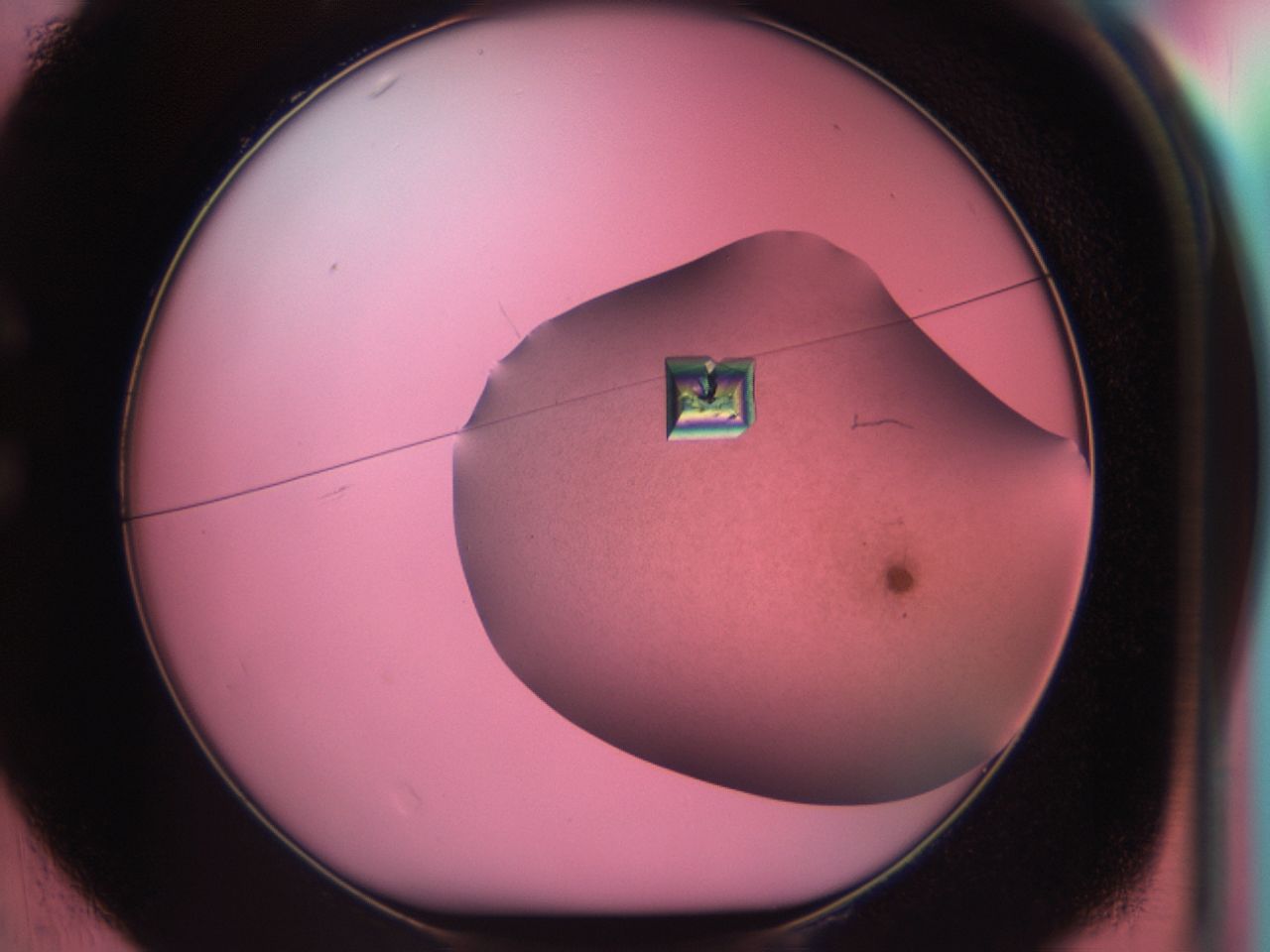 03ch_C1_ImagerDefaults_9.jpg
