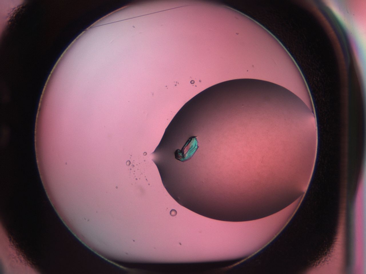 03ch_C2_ImagerDefaults_9.jpg