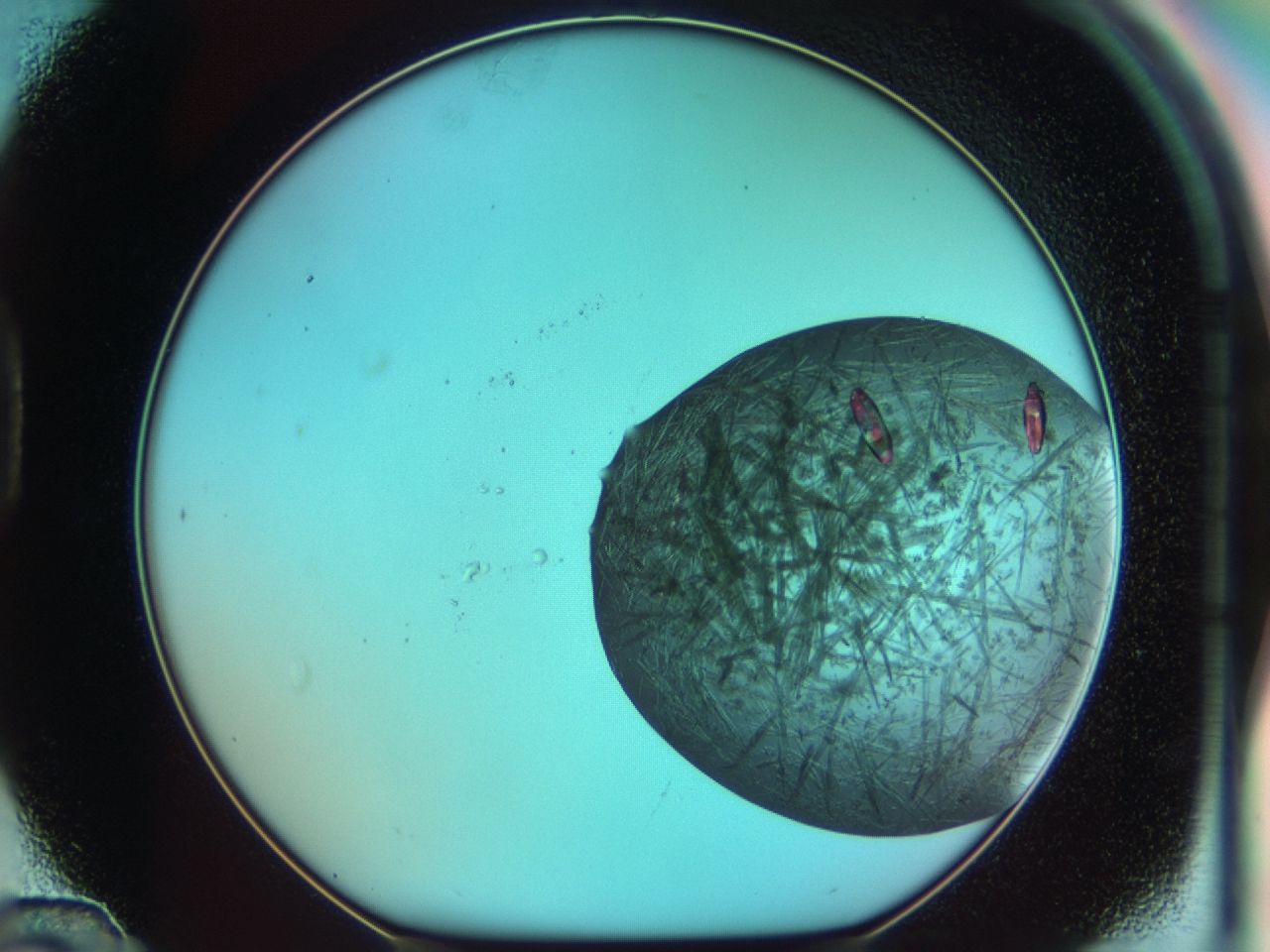 03ch_D12_ImagerDefaults_7.jpg