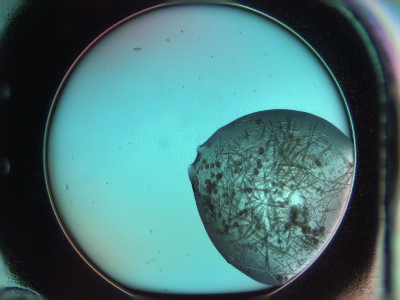 03ch_E12_ImagerDefaults_7.jpg