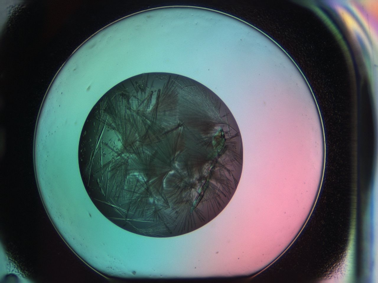 03ch_G11_ImagerDefaults_7.jpg