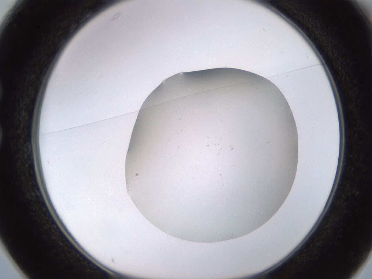 folderID575_plateID1575_batchID6363_wellNum25_profileID1_d1_r103167_ef.jpg