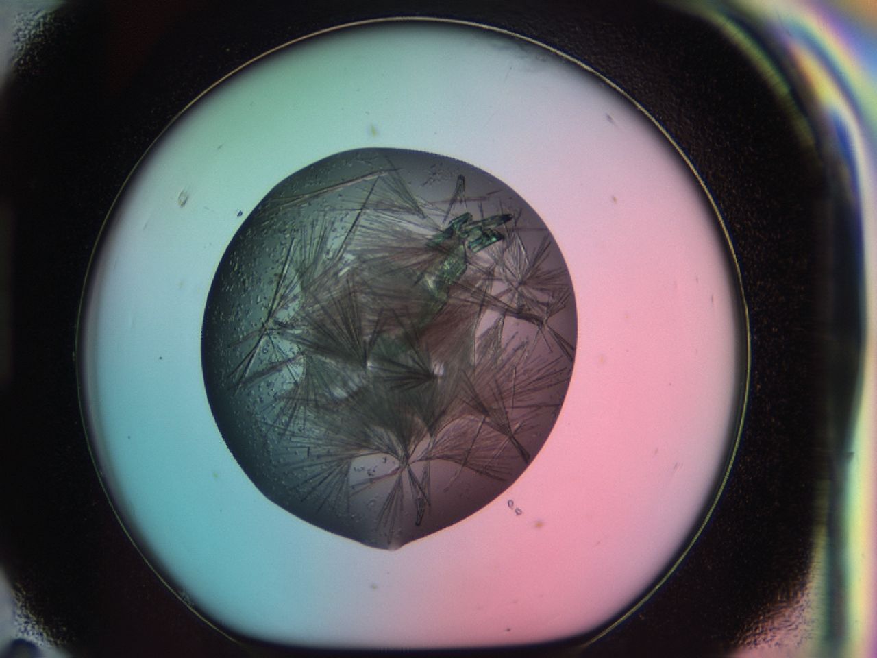 03ch_H11_ImagerDefaults_7.jpg