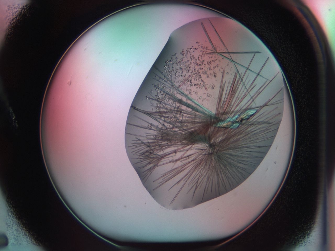 03ci_A5_ImagerDefaults_7.jpg