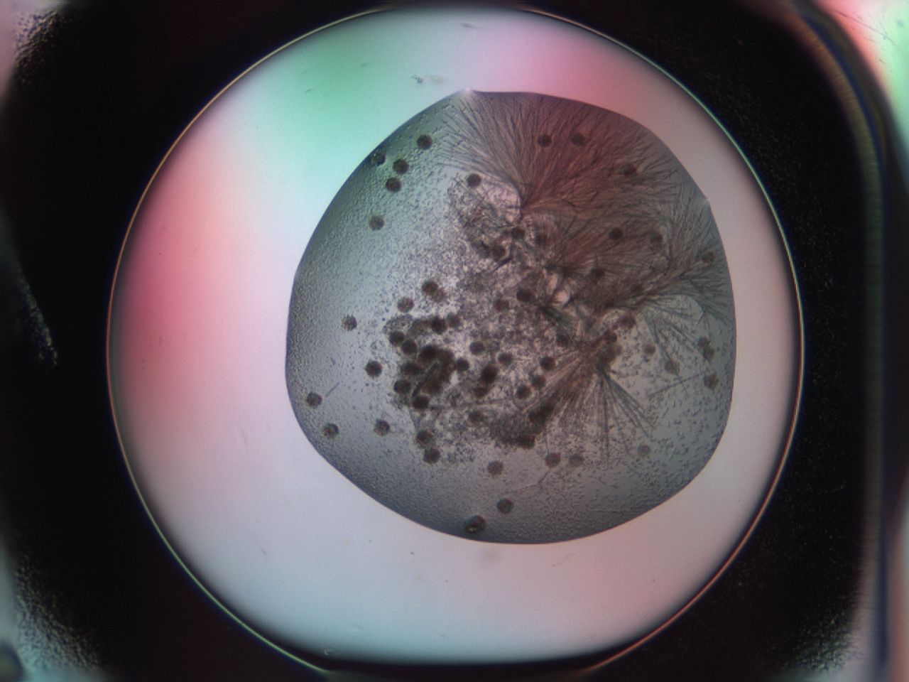 03ci_A6_ImagerDefaults_7.jpg