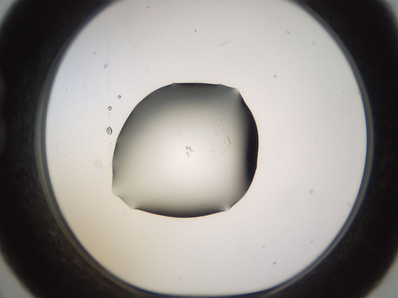 folderID576_plateID1576_batchID6364_wellNum21_profileID1_d1_r103331_ef.jpg