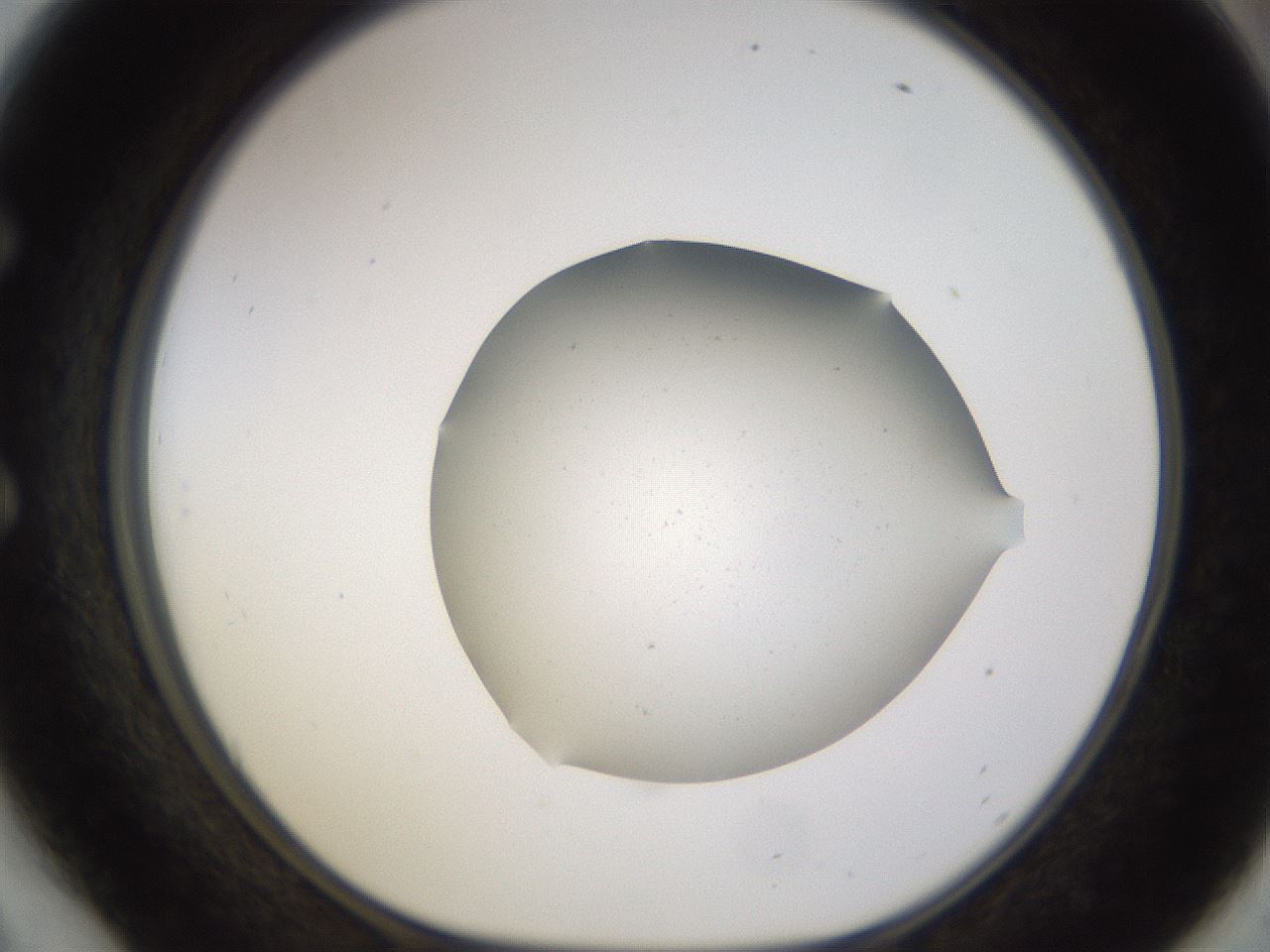 folderID576_plateID1576_batchID6364_wellNum54_profileID1_d1_r103364_ef.jpg