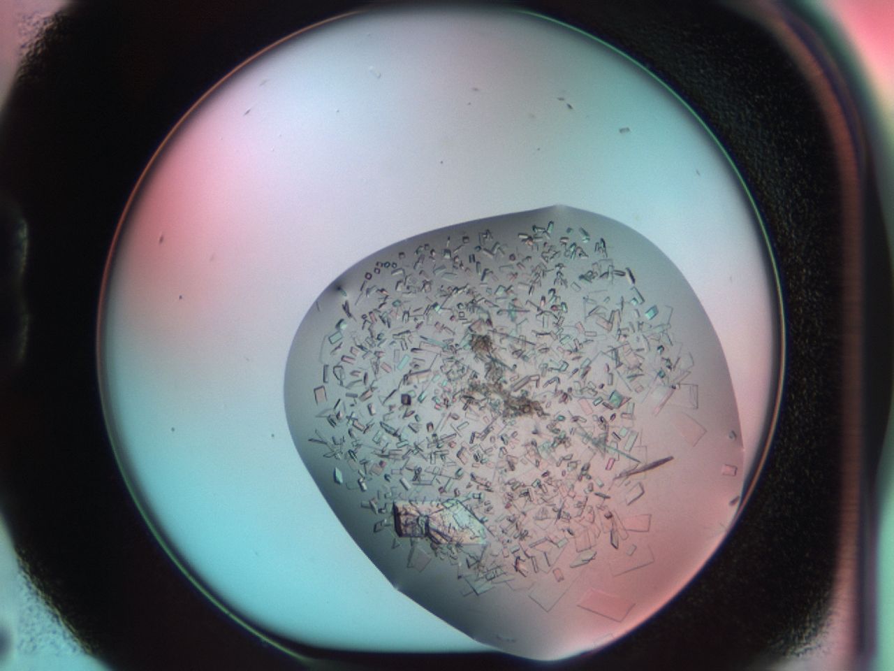03ci_B5_ImagerDefaults_8.jpg