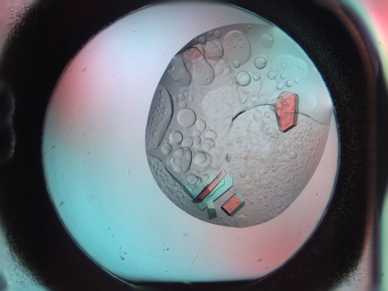 03ci_B6_ImagerDefaults_9.jpg
