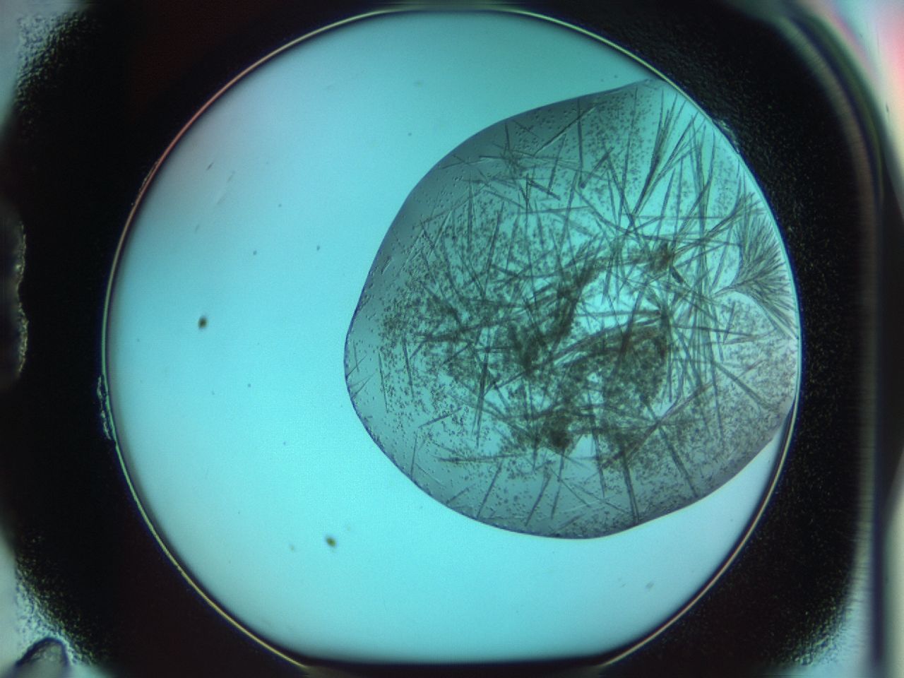 03ci_B11_ImagerDefaults_7.jpg