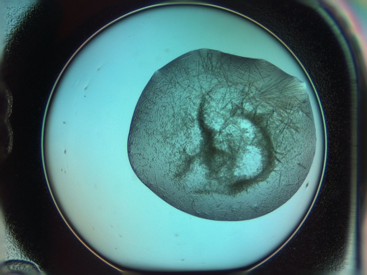 03ci_B12_ImagerDefaults_7.jpg