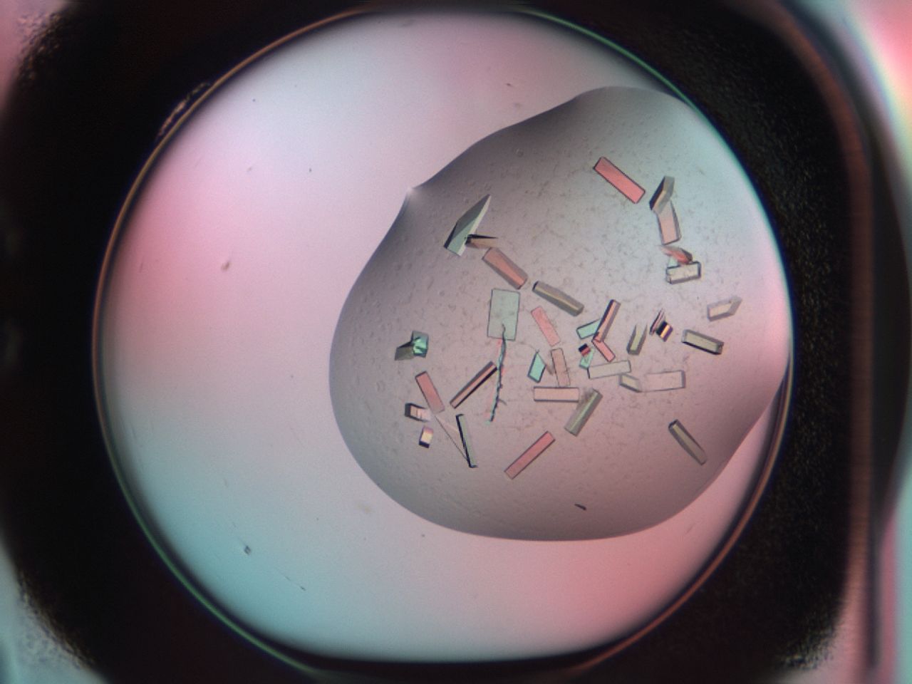 03ci_C4_ImagerDefaults_9.jpg
