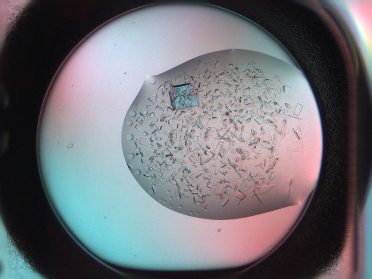 03ci_C5_ImagerDefaults_8.jpg