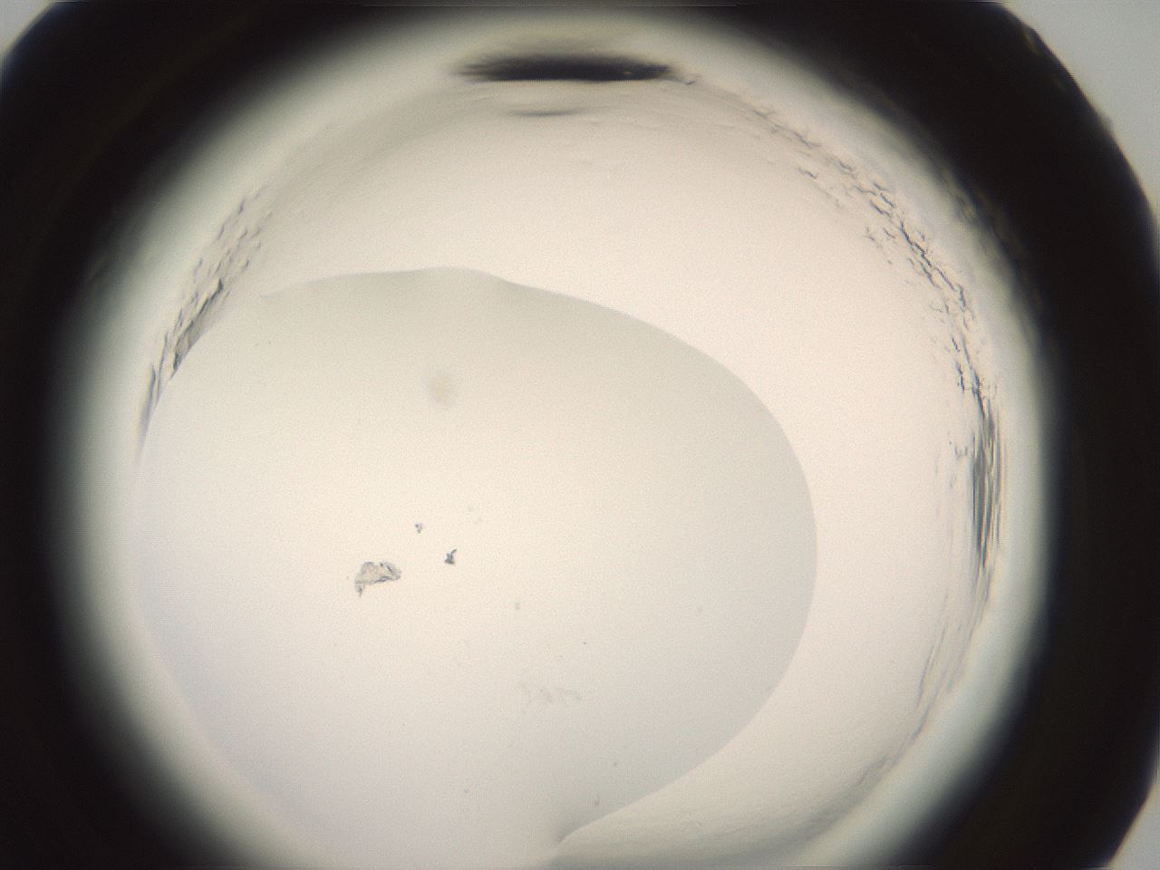 folderID577_plateID2577_batchID13160_wellNum83_profileID1_d3_r198689_ef.jpg