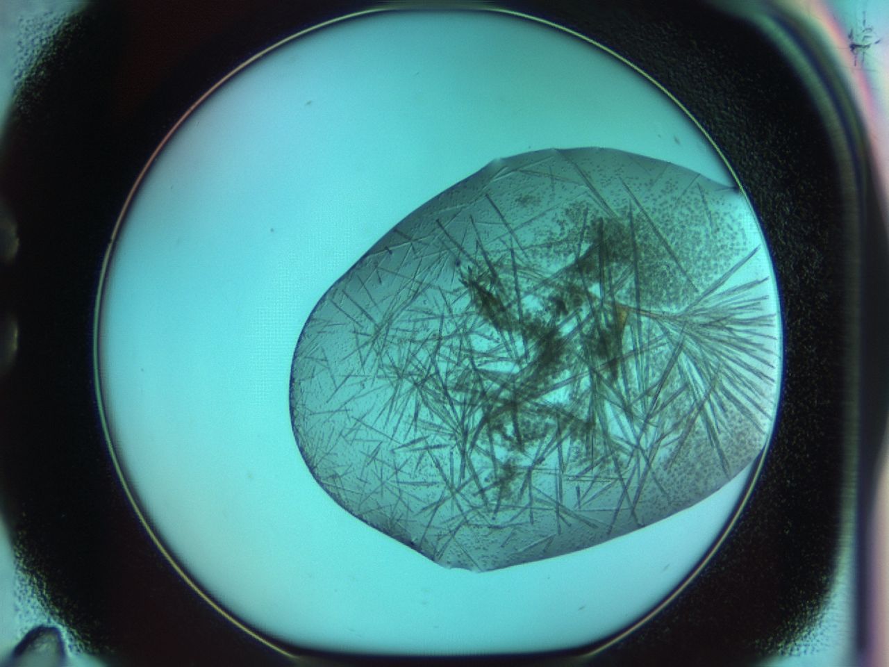 03ci_C11_ImagerDefaults_7.jpg