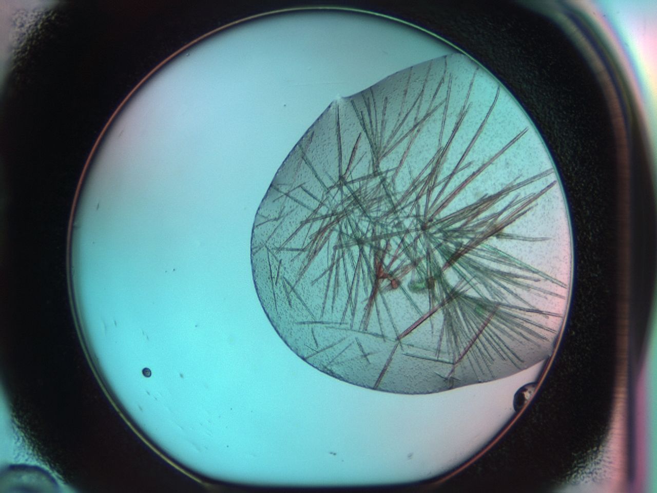 03ci_D10_ImagerDefaults_7.jpg