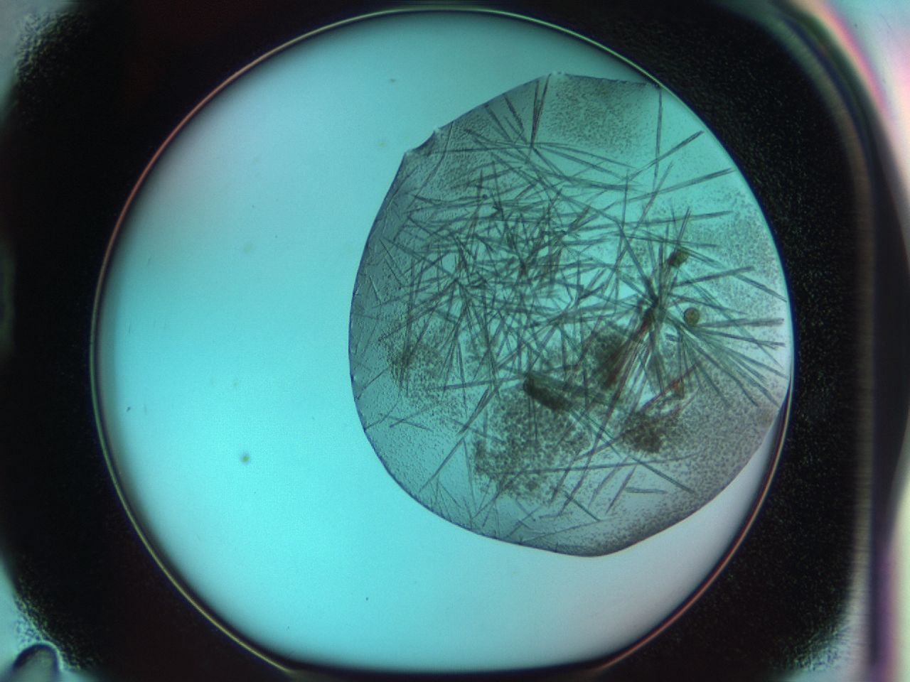 03ci_D11_ImagerDefaults_7.jpg