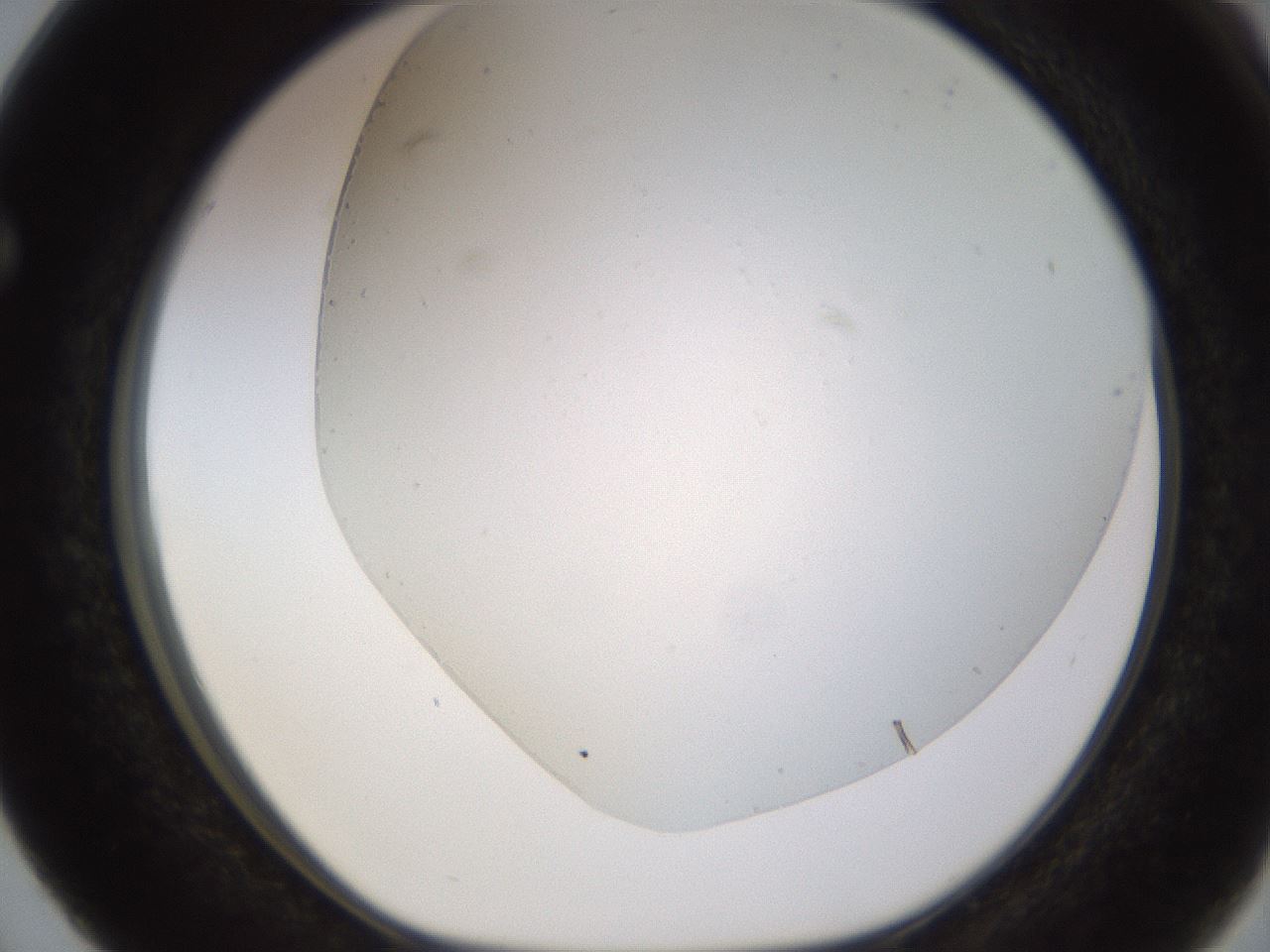 folderID579_plateID1579_batchID6454_wellNum63_profileID1_d1_r103661_ef.jpg