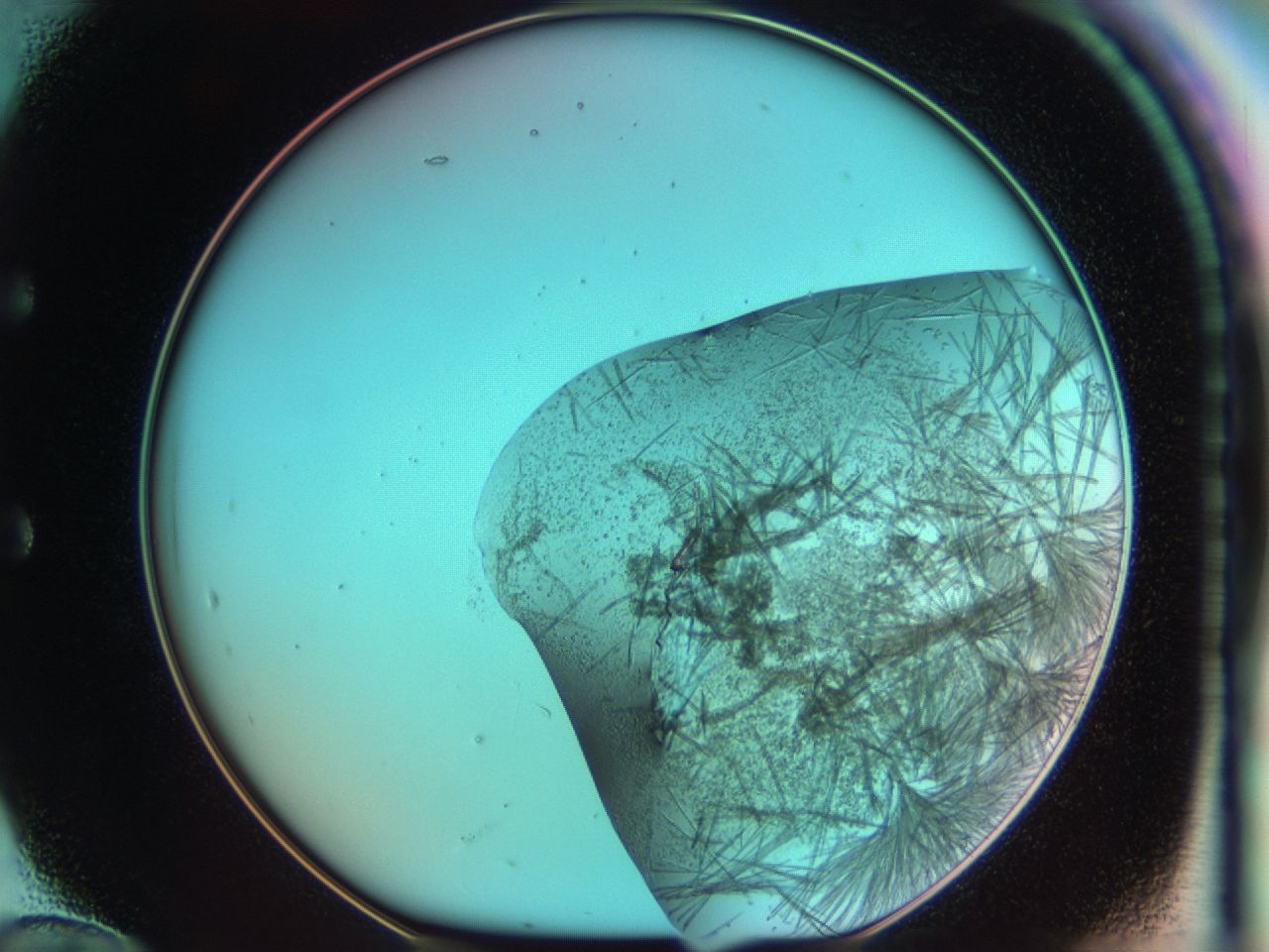03ci_E12_ImagerDefaults_7.jpg