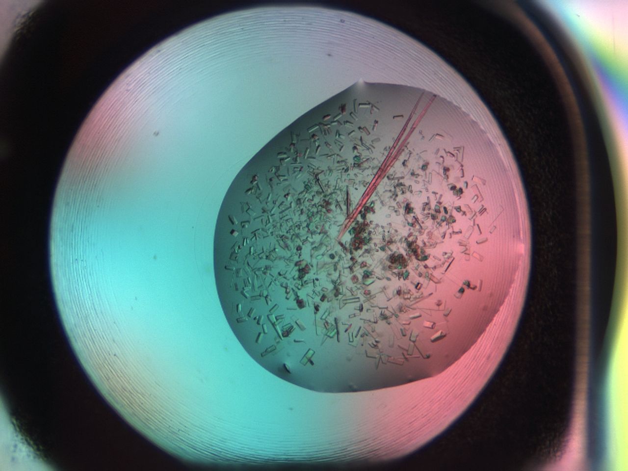 03ci_F5_ImagerDefaults_8.jpg