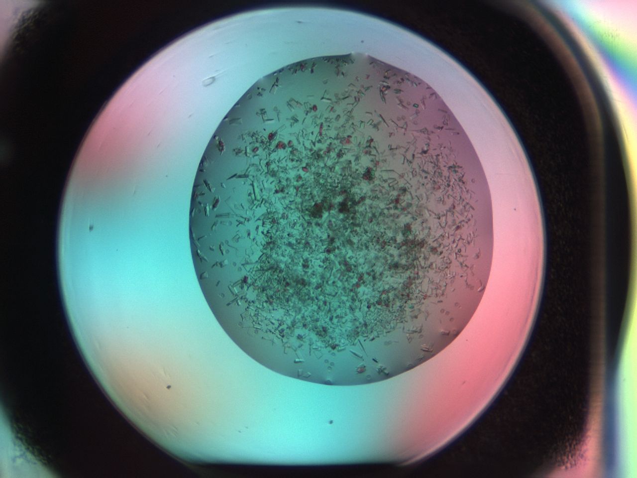 03ci_F6_ImagerDefaults_7.jpg