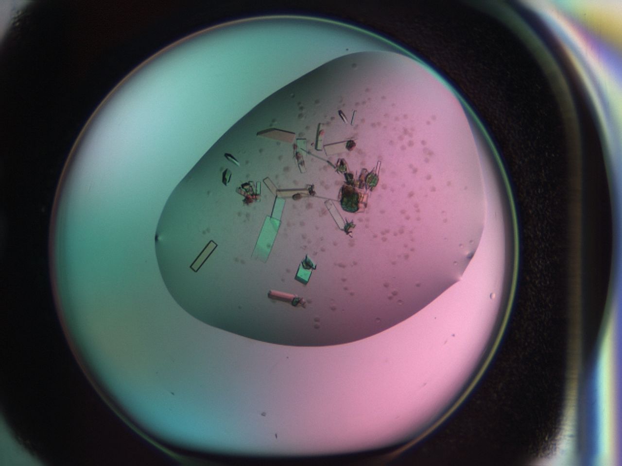 03ci_G4_ImagerDefaults_9.jpg