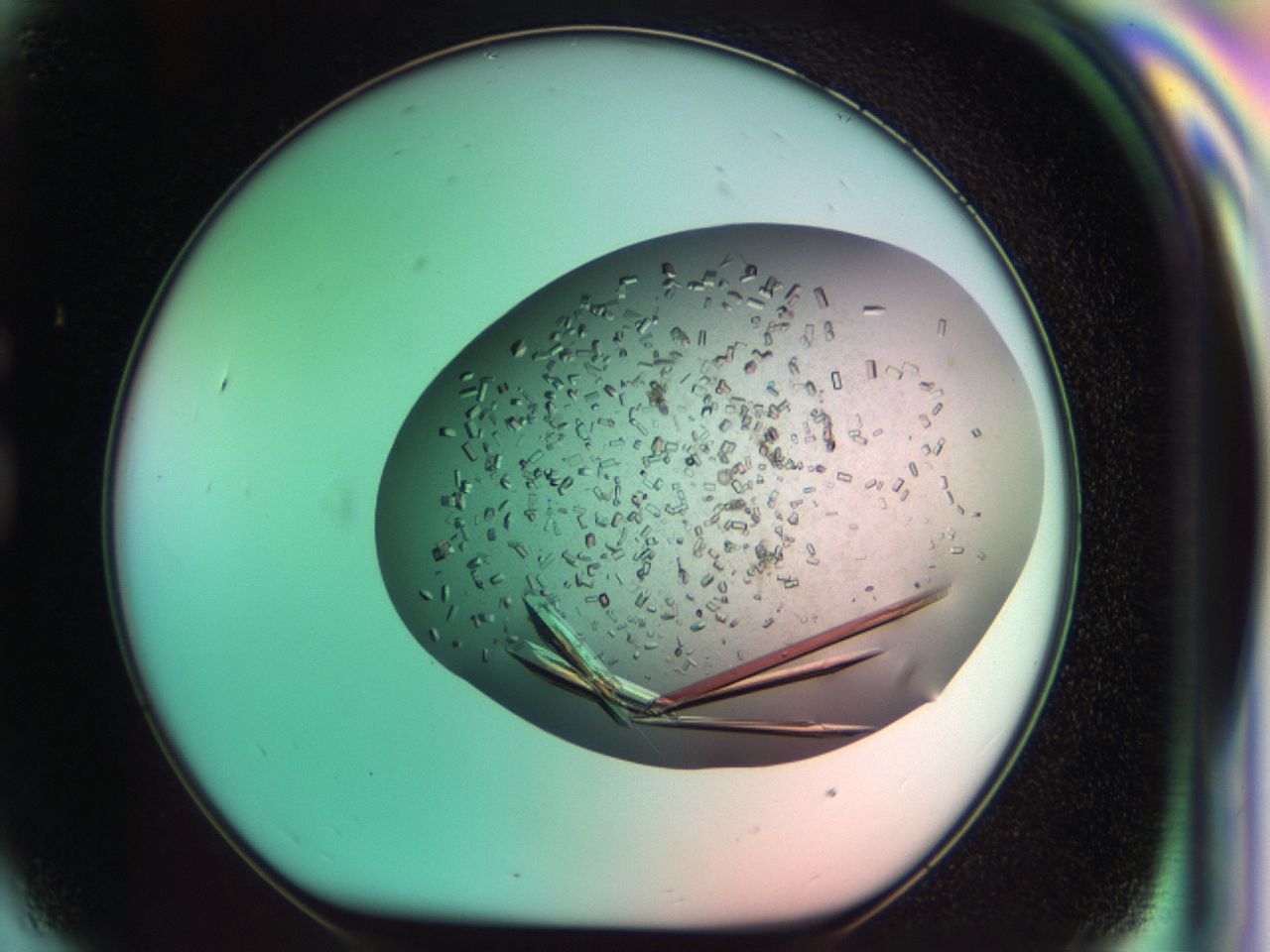 03ci_G9_ImagerDefaults_8.jpg
