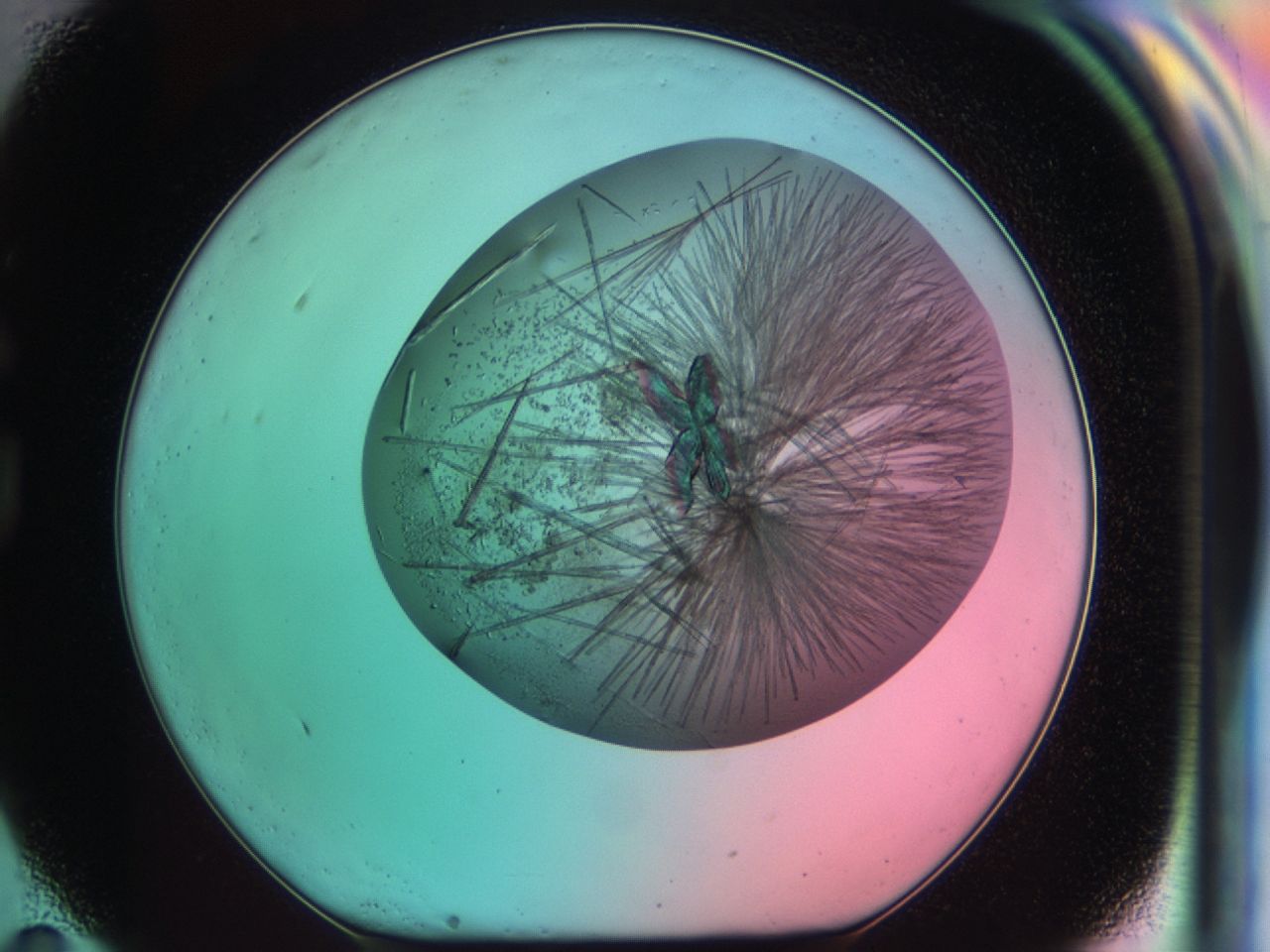 03ci_G11_ImagerDefaults_7.jpg