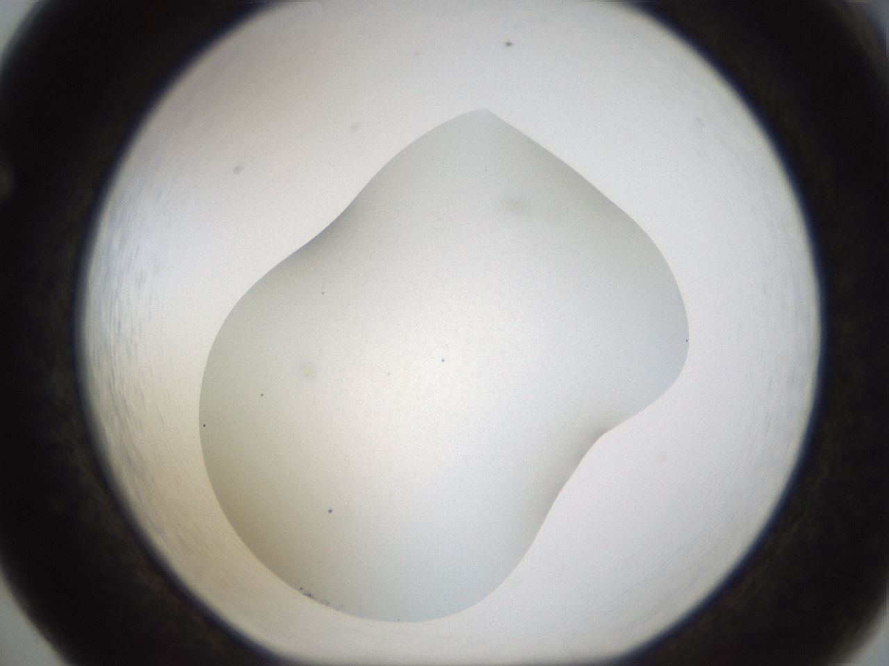 folderID201_plateID1201_batchID3524_wellNum65_profileID1_d1_r66335_ef.jpg