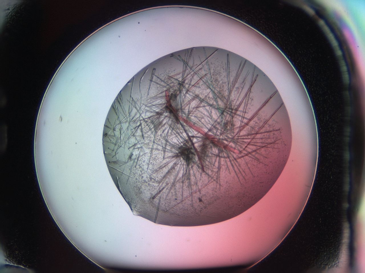 03ci_G12_ImagerDefaults_7.jpg