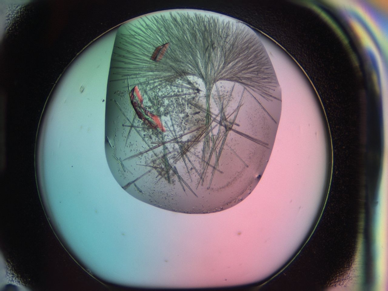 03ci_H11_ImagerDefaults_7.jpg